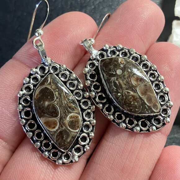 Elimia Turitella Agate Crystal Stone Jewelry Earrings - Picture 1 of 5